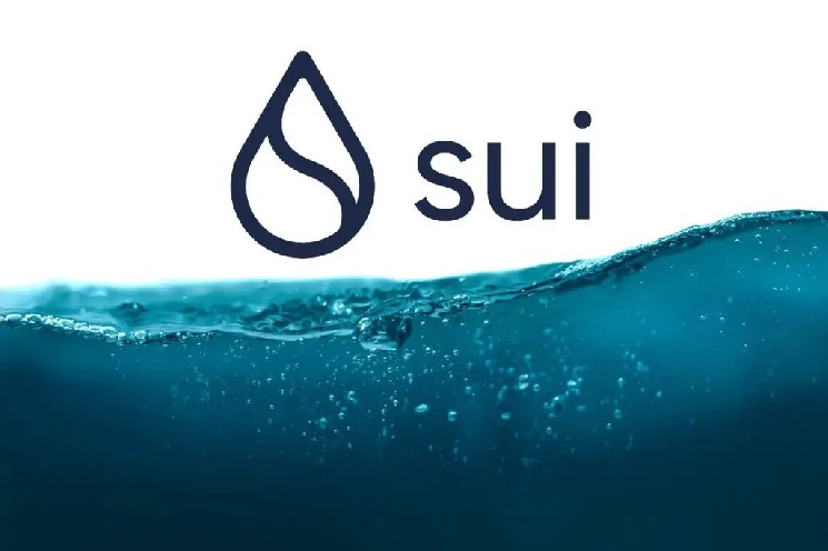Sui Blockchain Network Introduces New Privacy-Focused Infrastructure Feature! Here Are the Details