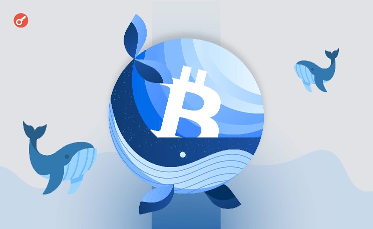 Dompet Bitcoin 'Tidur' Bangun: Lebih dari 800 BTC Dipindahkan pada Agustus