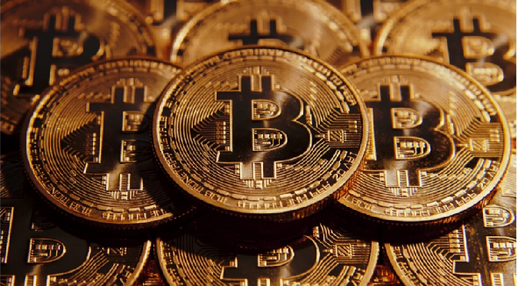 Le nombre de bitcoins détenus en auto-gardage par les investisseurs a été révélé