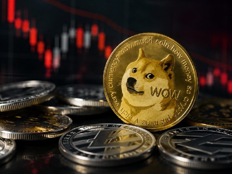 De mauvaises nouvelles de la société qui avait accumulé une grande quantité de Dogecoin (DOGE) !