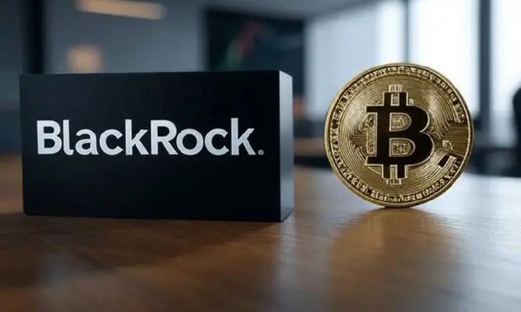 Bitcoin (BTC) Enters a Bear Market, BlackRock Remains Optimistic! Here's Why and the Latest Statements