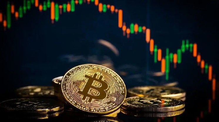比特币停滞与Cardano创纪录：八月加密货币市场开局如何