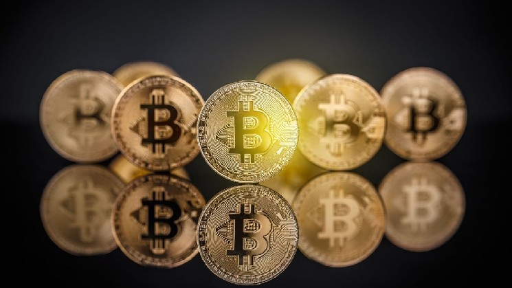 The Number of Short-Term Bitcoin Holders Is Decreasing. What Does This Mean for the Market?