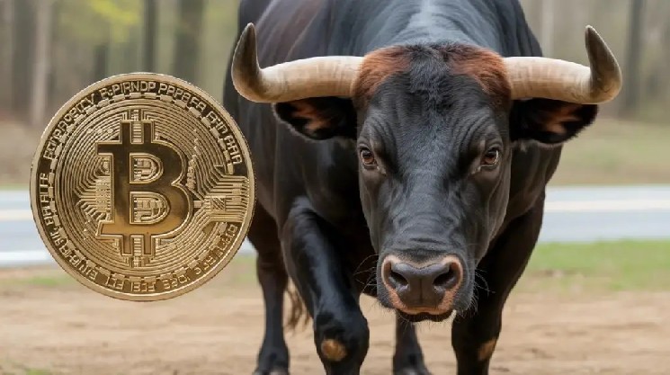 Company Managing $2.8 Billion in Bitcoin Makes Optimistic Statement About BTC!