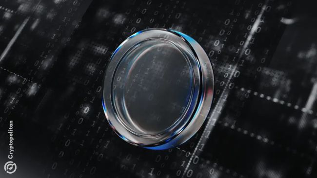 Reorientation of Blockchain Networks to Specialized Application Areas Will Become the Growth Driver in 2026
