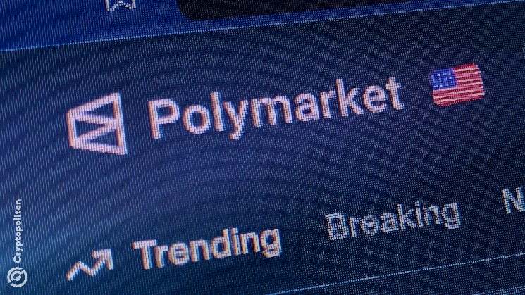 ACDC Identified 556 Polymarket Wallets, Allegedly Belonging to Insiders
