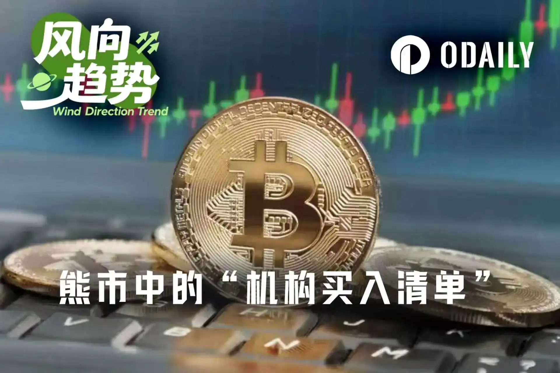 Crypto Bear Market: Which Crypto Concept Stocks Are Institutional Giants Accumulating?