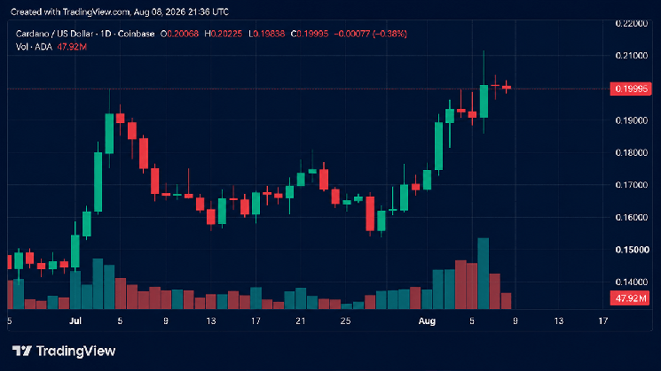 «Crypto Weekly»: ADA и монеты, ориентированные на конфиденциальность, демонстрируют лучшую динамику, в то время как XRP падает