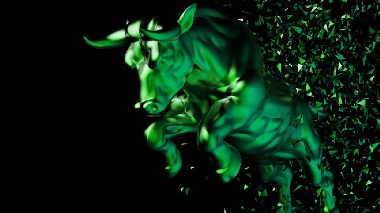 Altcoin Rally Feast: Has the Long-Awaited Bull Market Begun? Here's the Latest Situation