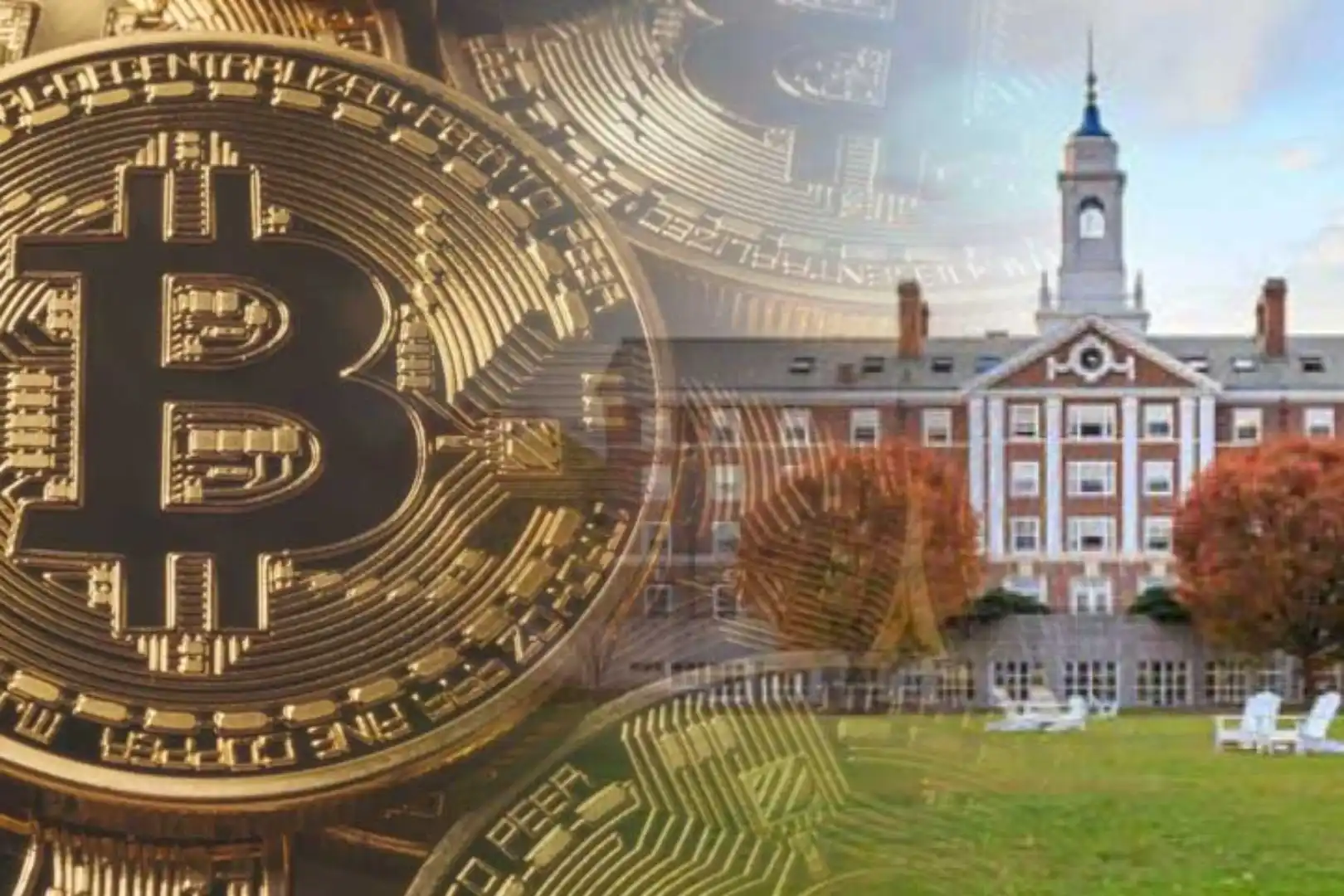 Harvard Halts Reduction in Bitcoin ETF Holdings, US University Funds' Crypto Exposure Enters a Holding Pattern