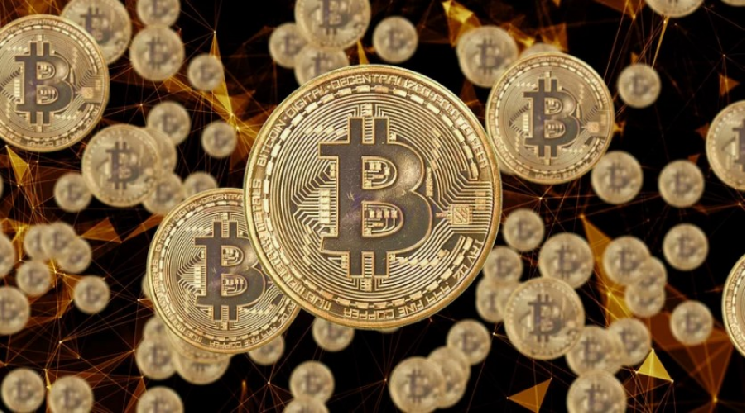 Инвестор вернул доступ к биткоинам спустя 12 лет