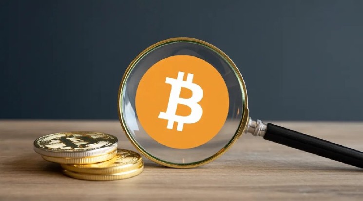 Dự báo của VanEck về Bitcoin: Họ dự đoán tháng mà tăng trưởng có thể bắt đầu