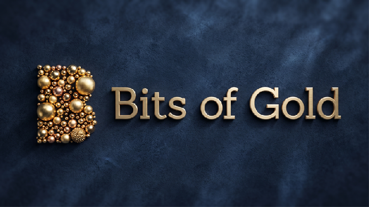 以色列交易所Bits of Gold报告数据泄露事件