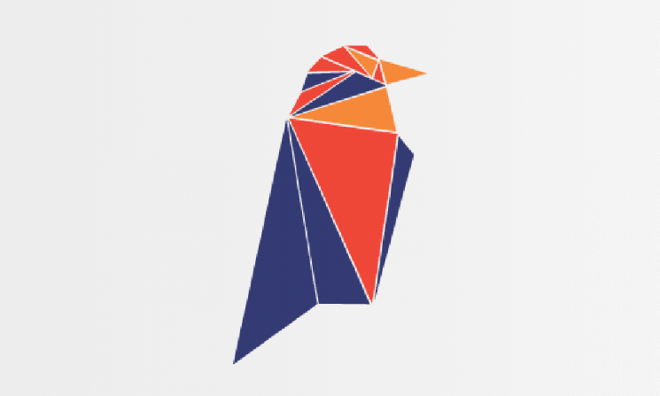 Ravencoin Announces Possibility of Erasing Several Days of Transaction Data