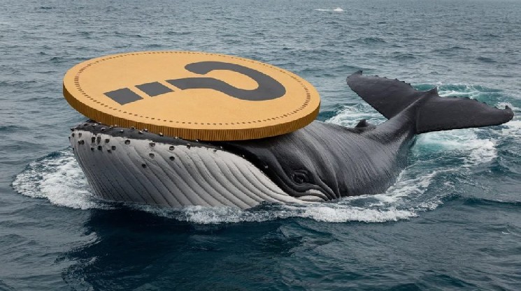 While Bitcoin (BTC) was falling, major investors were not inactive; they were shifting their positions: here are the altcoins they traded...
