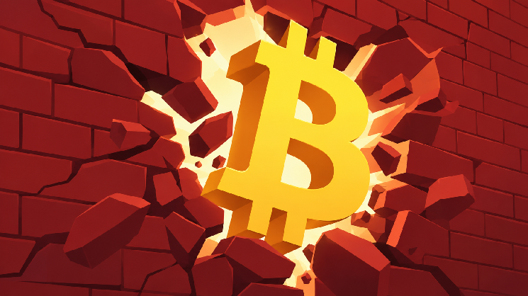Bitcoin Rises to $81,500 Amid Nvidia's Record Earnings Report