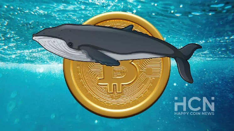 Number of Bitcoin Wallets Containing 10,000 BTC Reaches 6-Month High