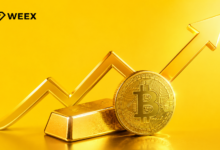 WEEX Market Watch: Gold, Bitcoin Rally Together as Fed Rate-Hike Odds Fade