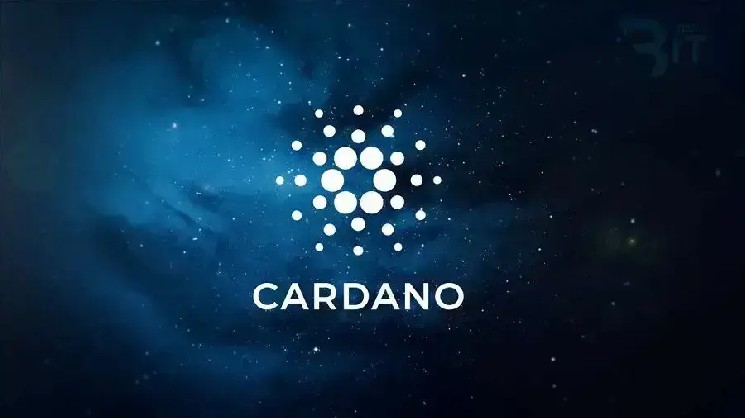 Cardano Network Activity Increases by 33%