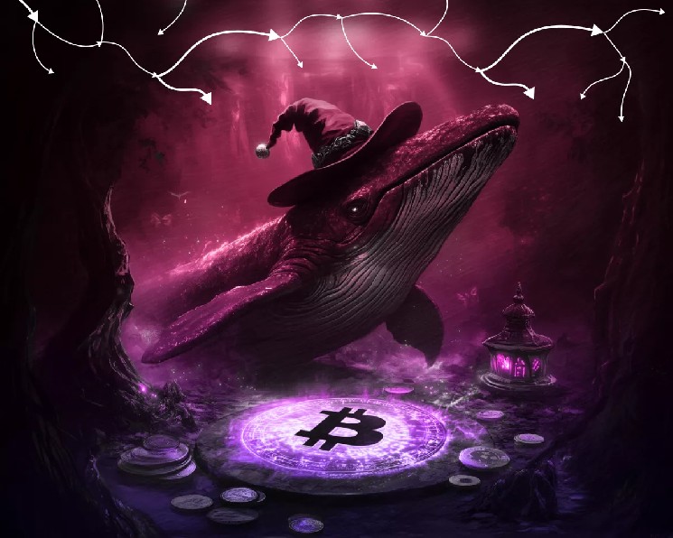 CryptoQuant Points Out Accumulation of Bitcoin, Ethereum, and XRP by Whales