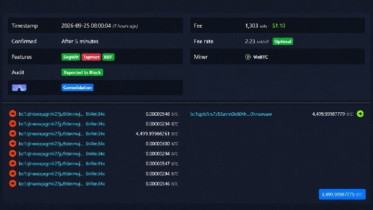 In 2019, a Bitcoin Network 'Whale' Transferred $378 Million and Paid Only $1 for It