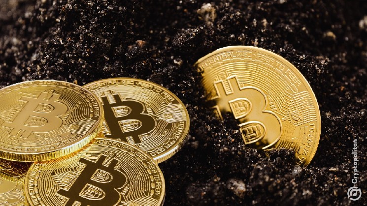 Mexico Launches Electricity Theft Case Against Owners of 300 Confiscated Mining Rigs