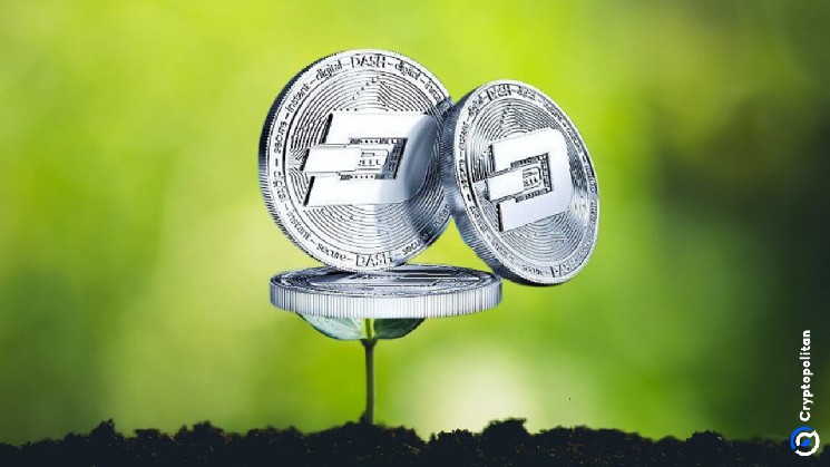 DASH Price Forecast for 2026-2032: Is a DASH Price Recovery Expected Soon?