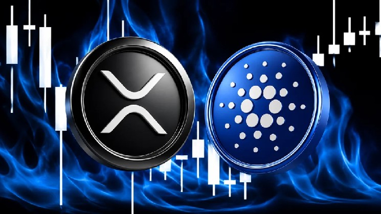Опытный аналитик утверждает, что существуют бычьи сигналы для Cardano (ADA) и Ripple (XRP)