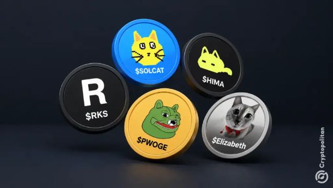 Reflection Tokens Have Reached Peak Popularity, or Are They Just Getting Started?