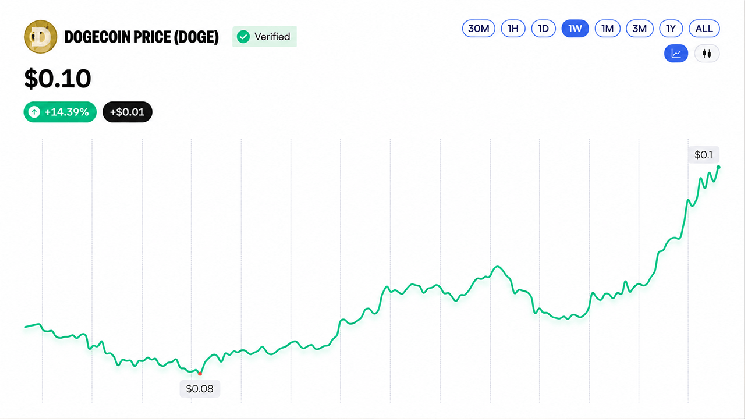 BNB Surpasses the $800 Mark, While DOGE and XRP Post Double-Digit Gains