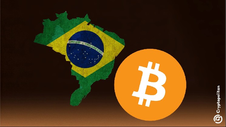 Brazilian Banks Sell Cryptocurrency to Their Clients Without Disclosing It in Their Financial Statements