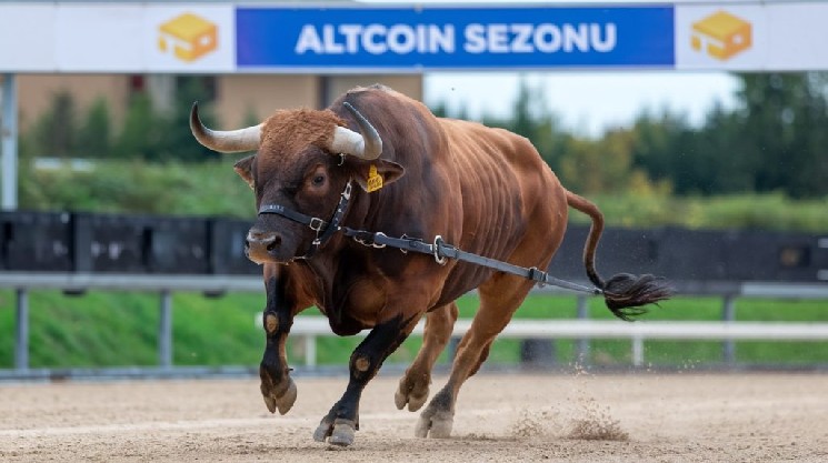 Major Breakthrough in the Altcoin World: First Sign of a New Altcoin Season or a Bear Market Rally? Analyst Explains!