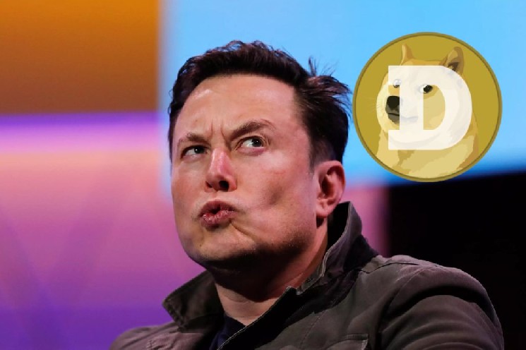 Breaking News: Elon Musk Deceived Us Again! Tesla Takes Measures Regarding Dogecoin! - cryptonews.ru