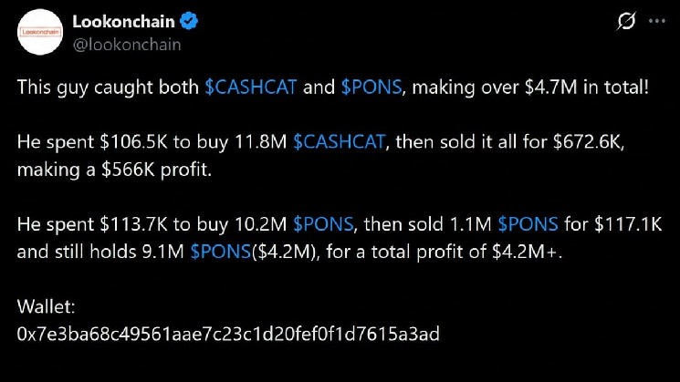 Как CASHCAT и PONS превратили 220 тыс. долларов в 4,7 млн долларов на Robinhood Chain