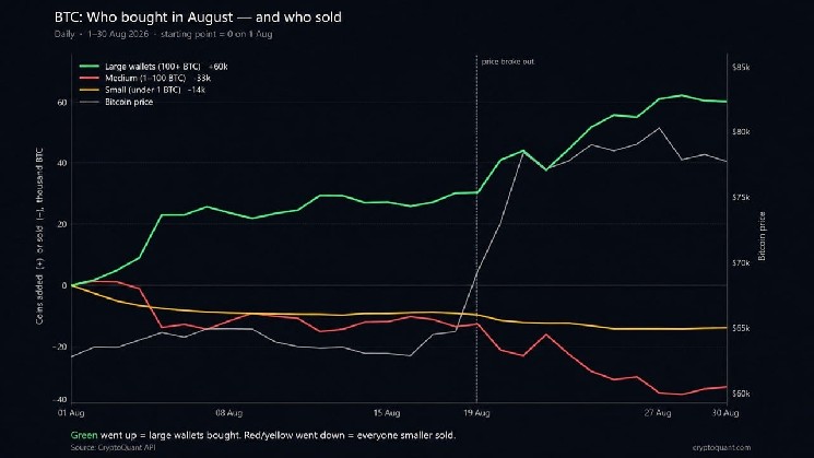 Cryptoquant: За ростом цены на биткоин скрывалась серия покупок «китом» на сумму 60 000 BTC