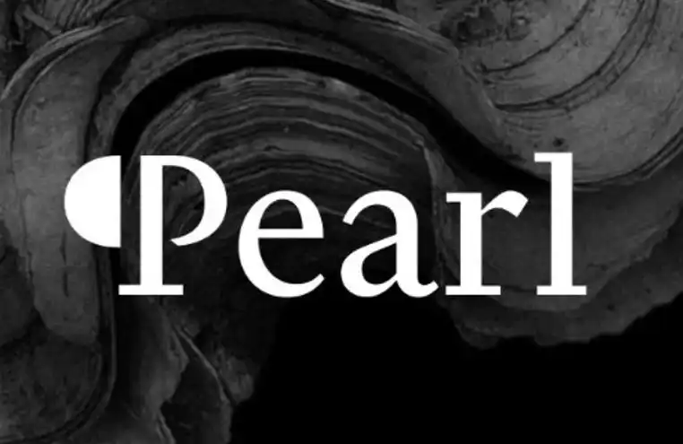 Pearl: Can You Simultaneously Conduct AI Inference and Mine Cryptocurrency? | Project Introduction