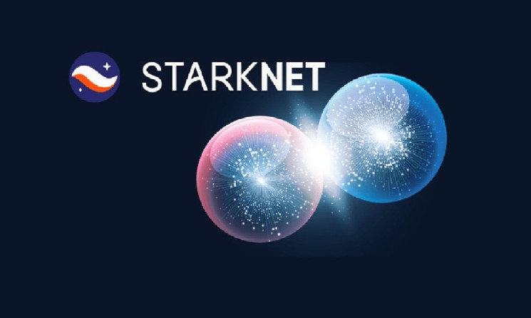 Starknet May Separate from Ethereum: STRK Holders Begin Decisive Voting