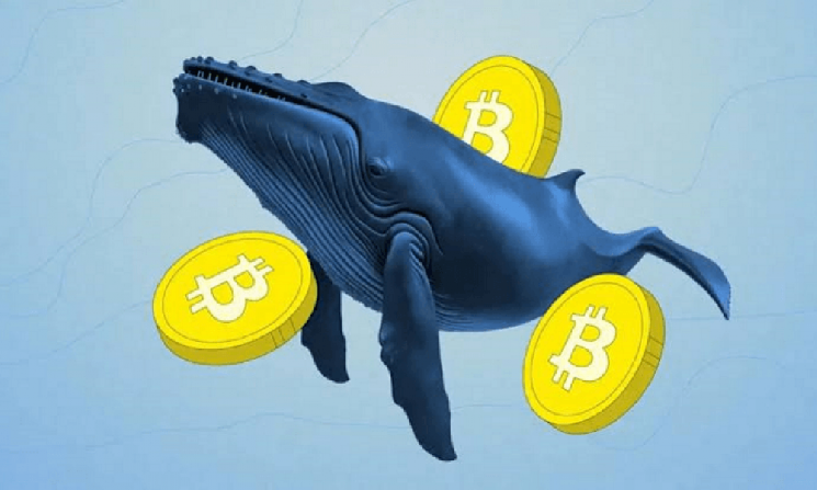 Крупный держатель биткоинов, переживший обвал рынка в марте 2020 года, переместил $378 млн