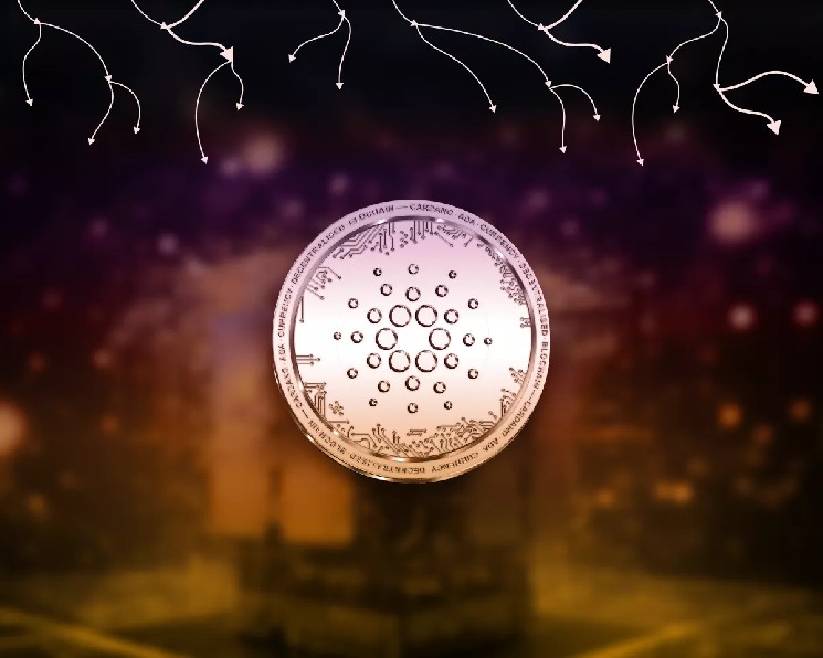 Cardano Foundation запустила реализацию стандарта программируемых токенов