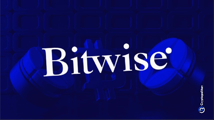 Мэтт Хауган из Bitwise ожидает 40-кратного роста NEAR к 2030 году в базовом бычьем сценарии