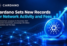 Cardano Cetak Rekor Baru untuk Aktivitas Jaringan dan Biaya