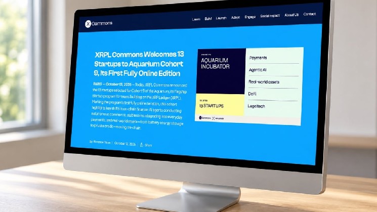XRPL Commons выбрала 13 стартапов в платежах, ИИ и DeFi