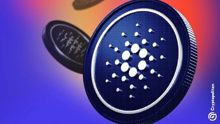 Cardano Creates a Freeze Button for Stablecoins It Doesn't Have Yet
