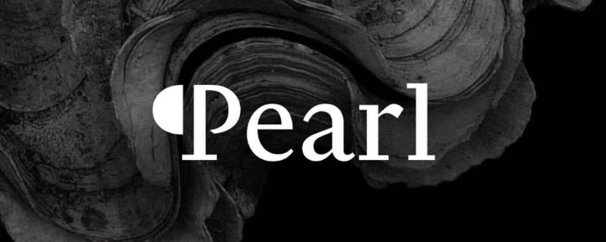 Pearl: The 'AI Version of Bitcoin' Most Mentioned at Token2049