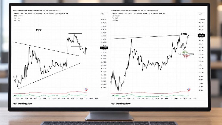 Питер Брандт отдает предпочтение Monero перед XRP, несмотря на оптимистичные целевые показатели цен