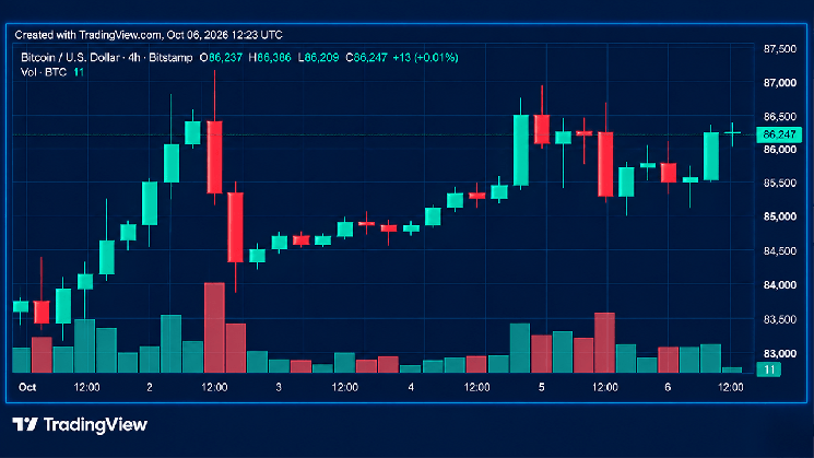Bitcoin Price Struggles at the $87,000 Mark as Bulls Refuse to Give Up
