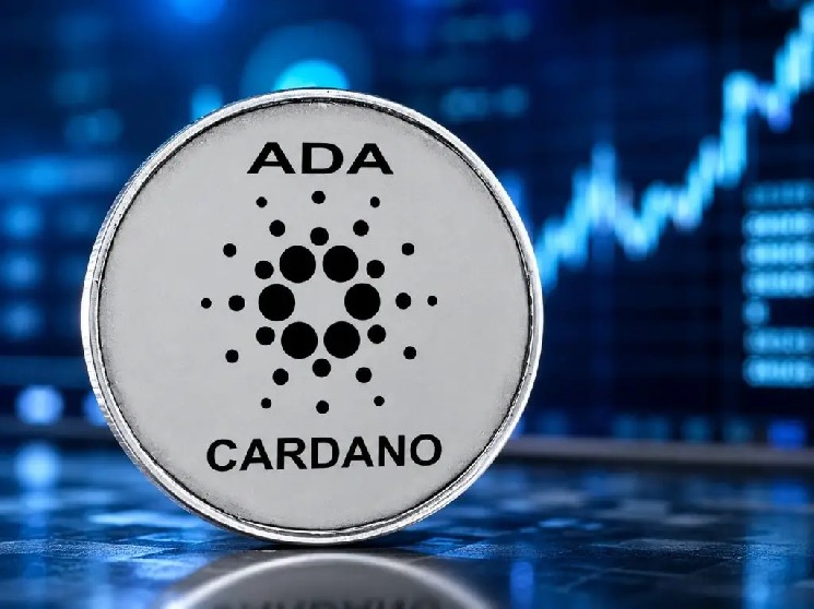 Cardano在巴西找到了重要合作伙伴：石油巨头将航空燃料引入区块链！详情如下